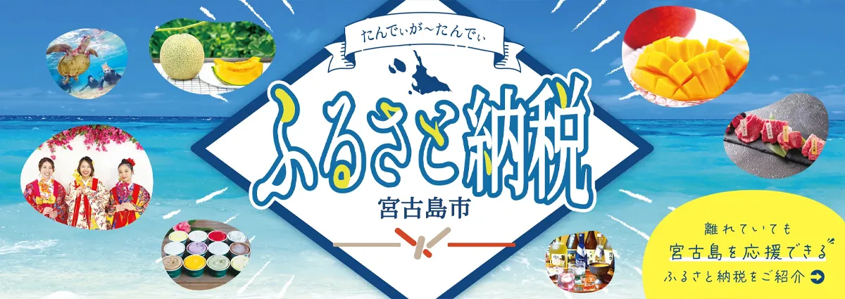 ふるさと納税 たんでぃがーたんでぃ