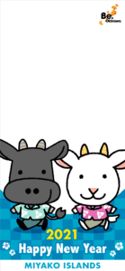 一般社団法人 宮古島観光協会 公式webサイト お年賀arフォトフレームプレゼント